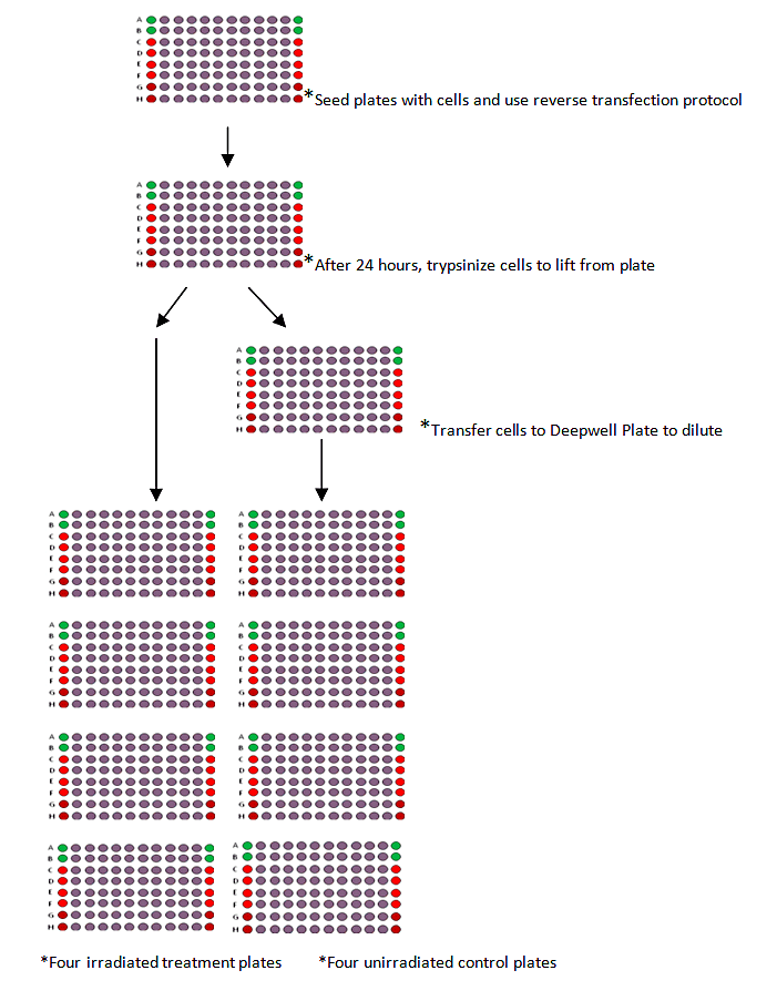 image10.png image10.png