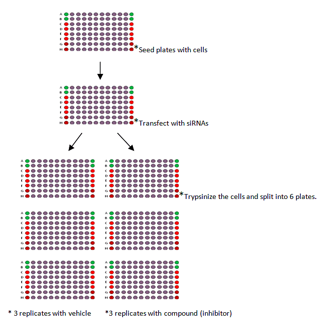 image11.png image11.png