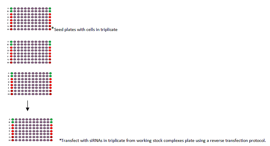 image12.png image12.png