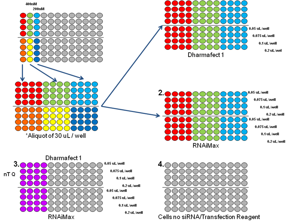 image3.png image3.png