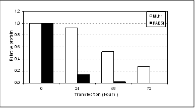 image9.png image9.png